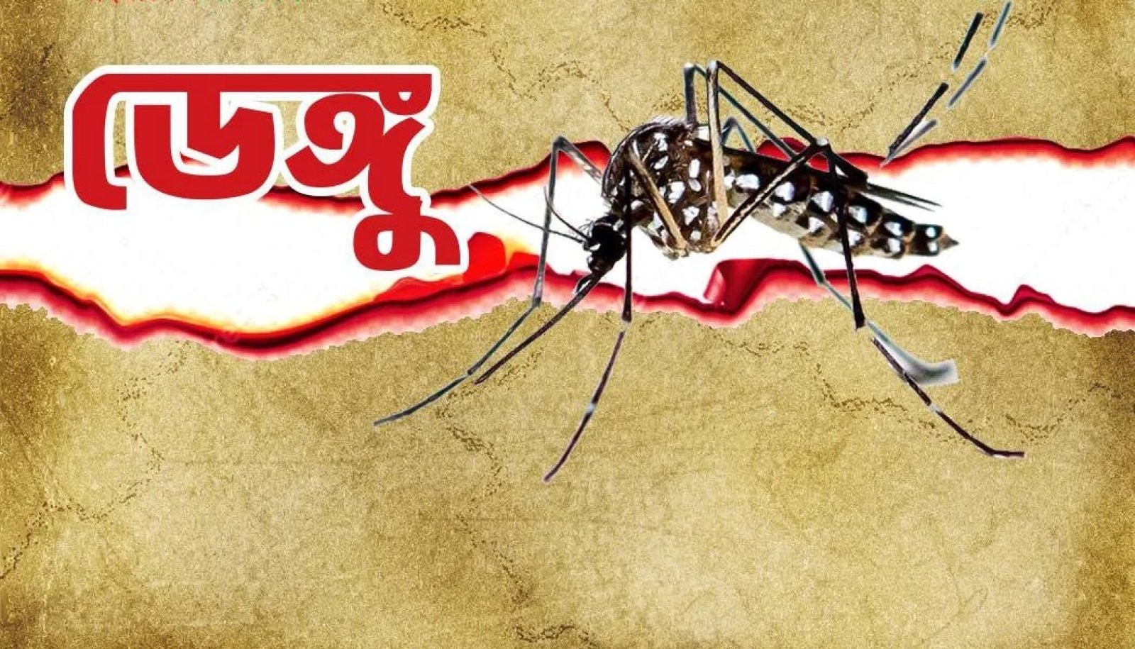 ২৪ ঘণ্টায় ডেঙ্গু আক্রান্ত হয়ে হাসপাতালে ৬৮