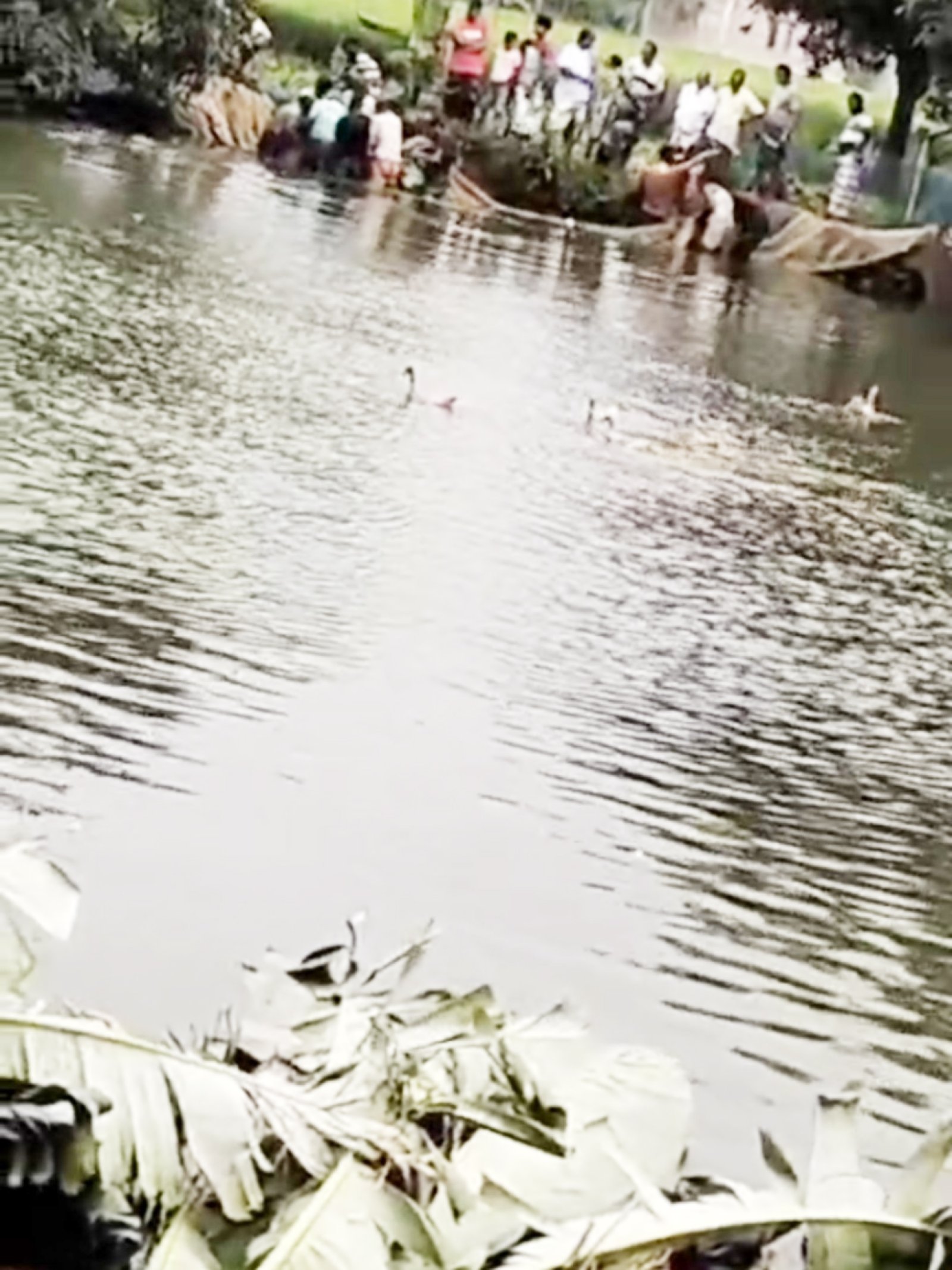 নিয়ামতপুরে জোরপূর্বক পুকুর থেকে মাছ লুটের অভিযোগ