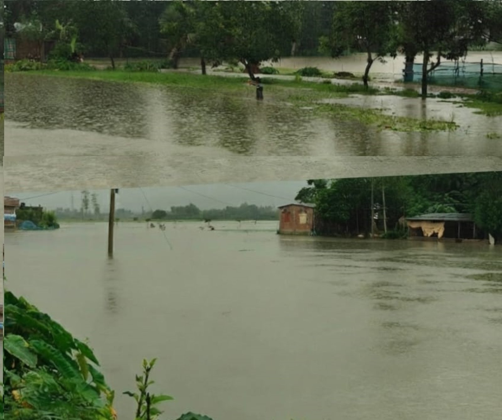 পত্নীতলায় চকদোচাই-বাবনাবাজ এলাকায় চরম দুর্ভোগ পানিবন্দী মানুষের
