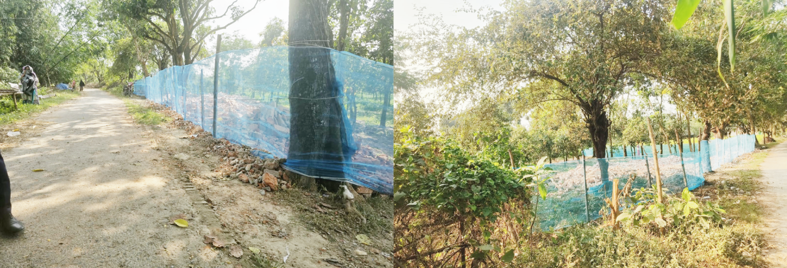 নাচোলে সাবেক ডিআইজি নজরুল’র দাপট ॥ ১১ বিঘা জমি জবর দখলের অভিযোগ