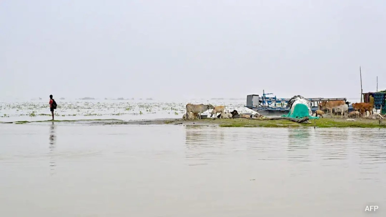 আসামে বন্যা : মৃত বেড়ে ৬৮, কমেছে উপদ্রুত জেলার সংখ্যা