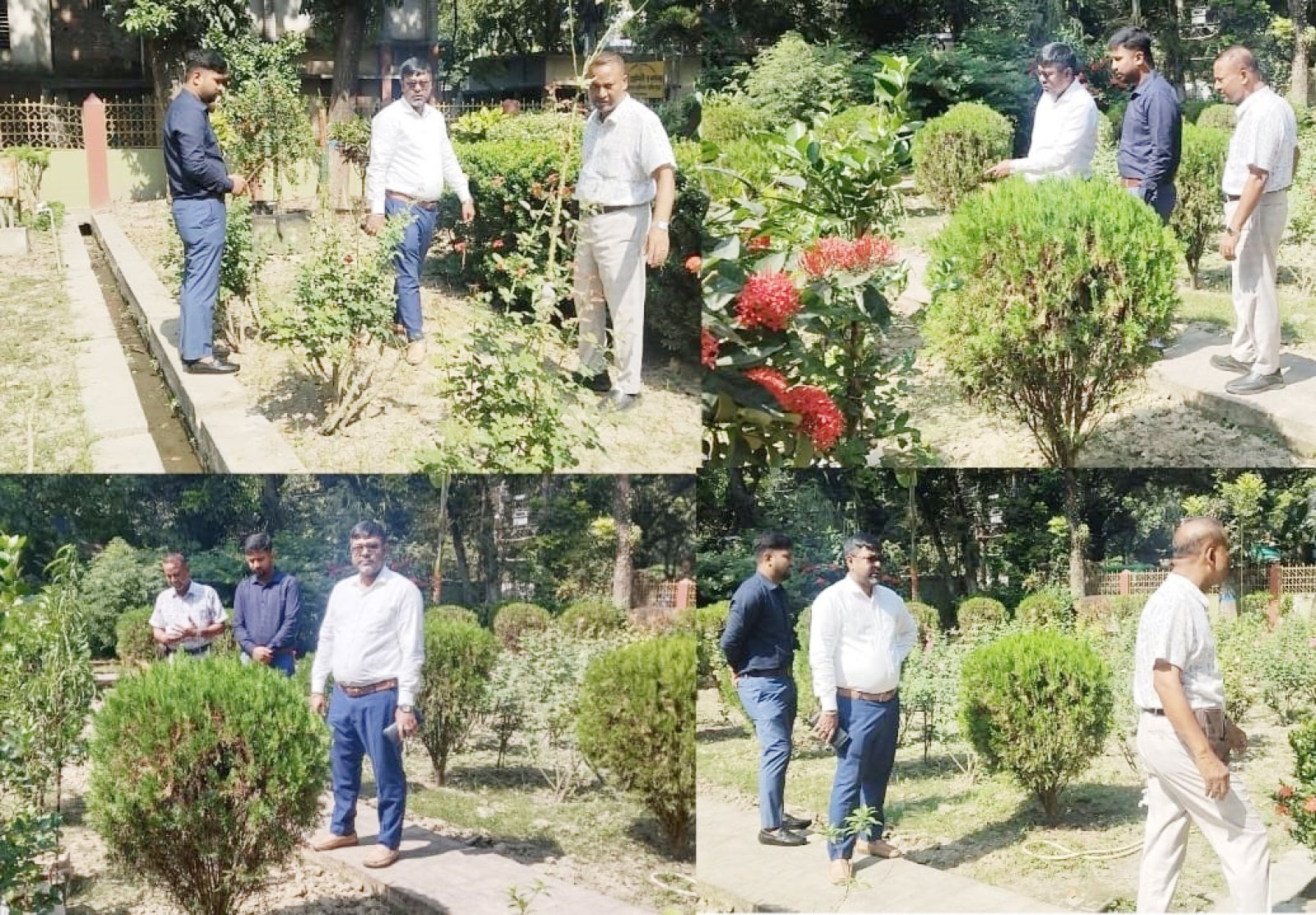 চাঁপাইনবাবগঞ্জে ডেঙ্গু প্রতিরোধে এলজিইডি কার্যালয়ে পরিচ্ছন্নতা অভিযান ও বৃক্ষরোপণ