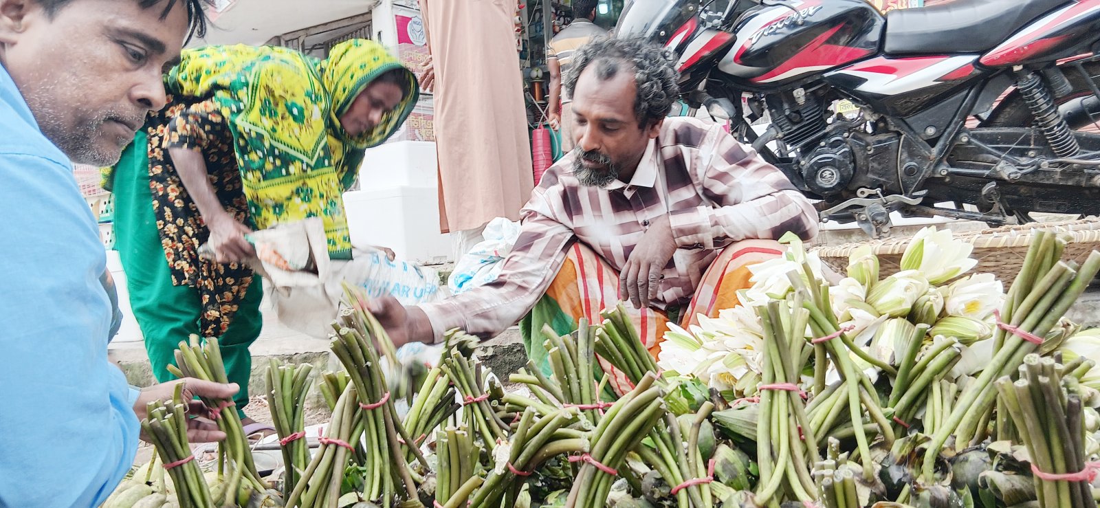 চলনবিলের শাপলা-ঢ্যাপ বিক্রি করে সংসার চলে আব্দুল আলিমের