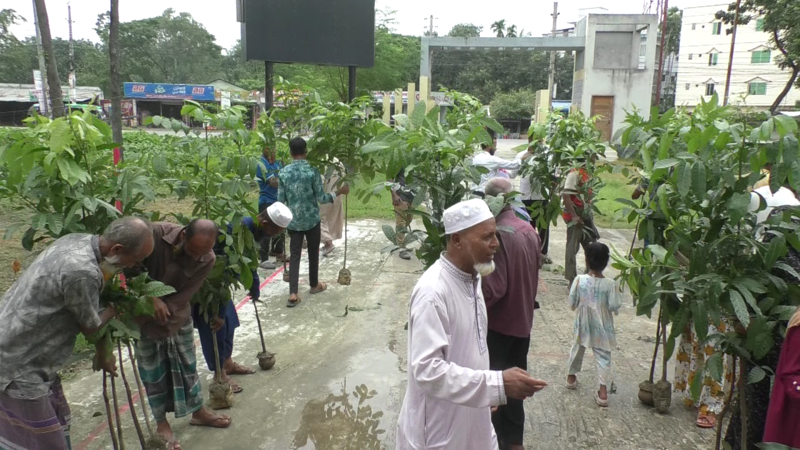 নওগাঁয় কৃষকদের মাঝে চারাগাছ ও আধুনিক কৃষি সরঞ্জাম বিতরণ