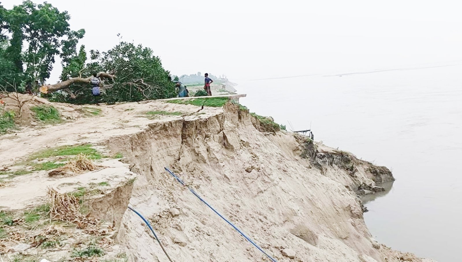 পদ্মার ভাঙনে বিলীন বিভিন্ন স্থাপনা ও ফসলী জমি ॥ পানিবন্দি ১২’শ পরিবার