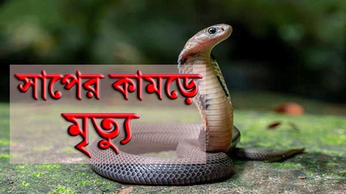 গোমস্তাপুরে সাপের কামড়ে একজনের মৃত্যু