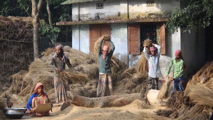 হারিয়ে যাওয়া সেই গ্রামীণ দৃশ্য ॥ মৌসুমে ফিরে আসে পুরোনো স্মৃতি