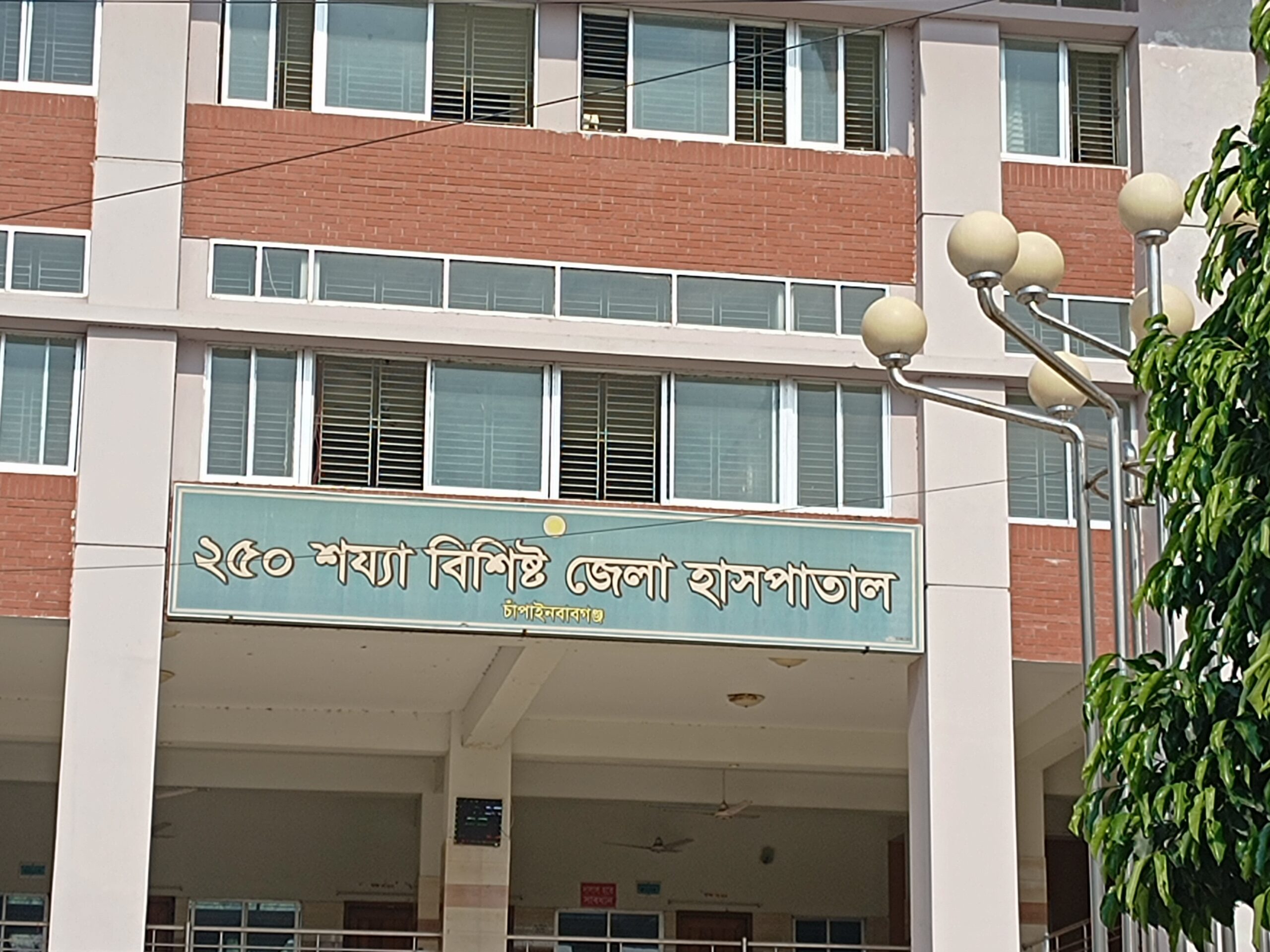 চাঁপাইনবাবগঞ্জে বাড়ছেহামের প্রকোপ ॥ নতুন ভর্তি ২২ জন