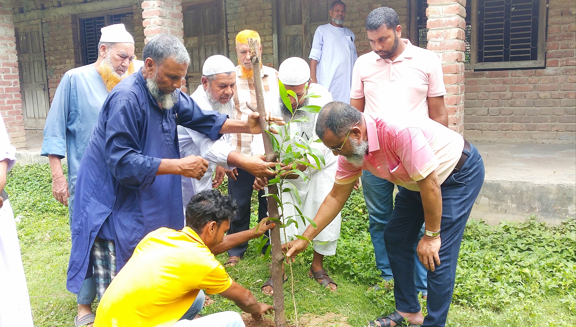 ভোলাহাটে রুবেল আহমেদ জনকল্যাণ পাঠাগারের উদ্যোগে বৃক্ষ রোপণ কর্মসূচি পালিত
