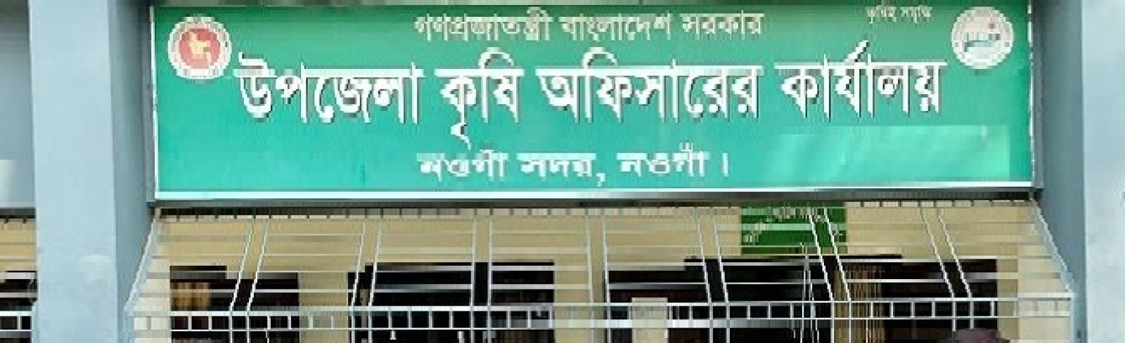 নওগাঁয় ৩৫ হাজার আমন চাষীদের আড়াই কোটি টাকার প্রণোদনা বিতরণ