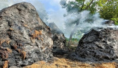 সিংড়ায় গভীর রাতে দূর্বৃত্তদের আগুনে ৪টি খড়ের পালা ভষ্মিভূত