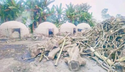 গোবিন্দগঞ্জে অবৈধ কয়লা কারখানার বিরুদ্ধে এলাকাবাসীর ক্ষোভ