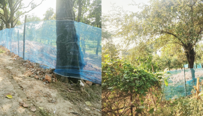 নাচোলে সাবেক ডিআইজি নজরুল’র দাপট ॥ ১১ বিঘা জমি জবর দখলের অভিযোগ