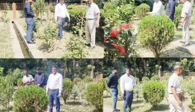চাঁপাইনবাবগঞ্জে ডেঙ্গু প্রতিরোধে এলজিইডি কার্যালয়ে পরিচ্ছন্নতা অভিযান ও বৃক্ষরোপণ