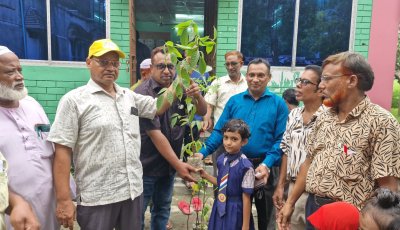চাঁপাইনবাবগঞ্জে জুলাই গণঅভ্যুত্থান স্মরণে শিক্ষার্থীদের মাঝে চারা বিতরণ
