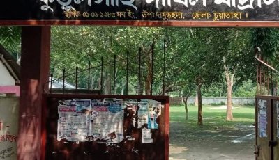 প্রতিষ্ঠার ৩৮ বছর-এবছর কুড়ুলগাছি দাখিল মাদ্রাসায় সকল পরীক্ষার্থী ফেল