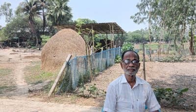 সিংড়ায়সালিসের সিদ্ধান্তকে বৃদ্ধাঙ্গুলি ॥সংখ্যালঘুর জায়গায় ঘর নির্মাণ