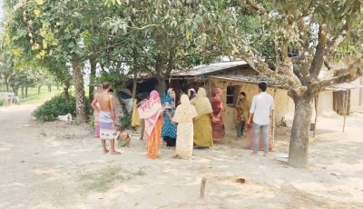 নাচোলে গোয়াল ঘরের সিঁদ কেটে গরু- ছাগল চুরি