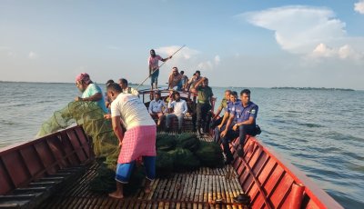 নাটোরের হালতি বিলে অবৈধ জালে পোনা মাছ নিধন রোধে অভিযান