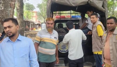 বাগাতিপাড়ায় গাঁজা ব্যবসায়ীকে ভ্রাম্যমান আদালতে কারাদন্ড