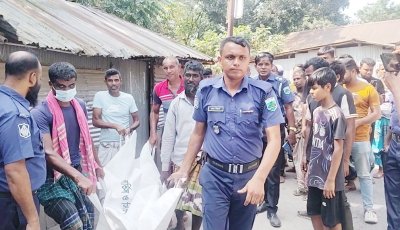 নলডাঙ্গায় ট্রাকচাপায় একজন নিহত-আটক ১