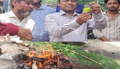 শিবগঞ্জে ১১ টিয়া পাখি অবমুক্ত ॥ শিকারের সরঞ্জাম ধ্বংস