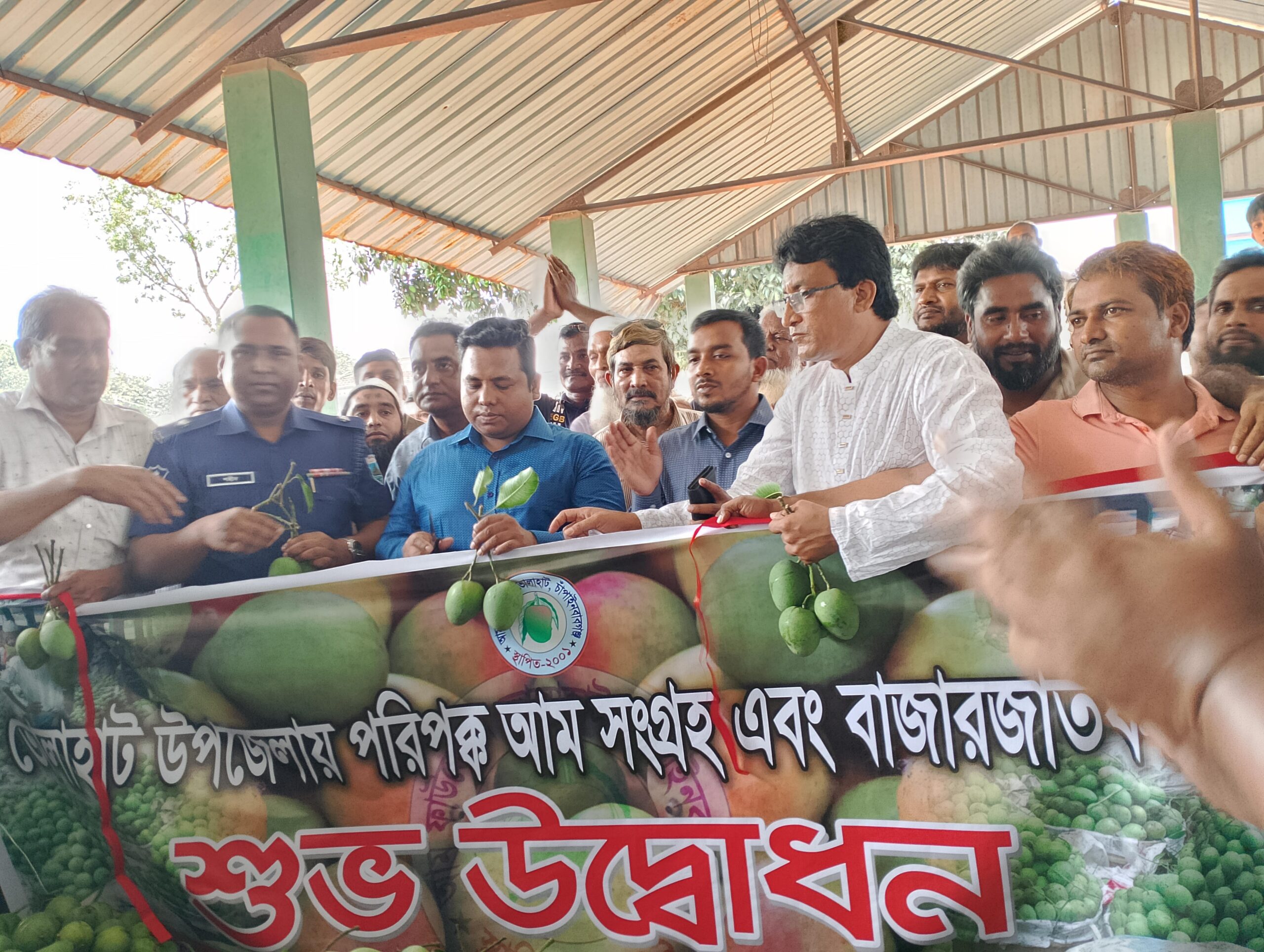 আম ফাউন্ডেশন ভোলাহাটে আম বাজারজাতকরণের শুভ উদ্বোধন