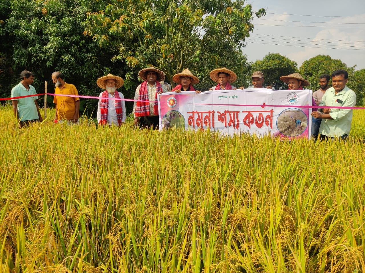 গোমস্তাপুরে ব্রী ধান ৮৯ নমুনা শস্য কর্তন অনুষ্ঠান