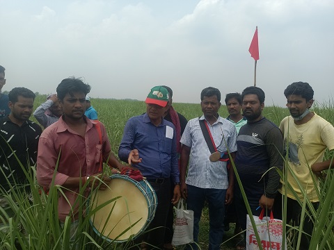 শিবগঞ্জে ১২ বছর পর আদালতের মাধ্যমে জমি ফেরত