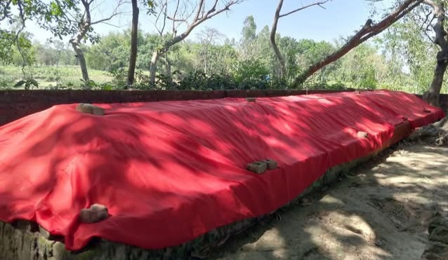 রাণীশংকৈলে ৭০ হাত লম্বা রহস্যময় কবর ॥ এলাকাবাসীর মাঝে কৌতুহল