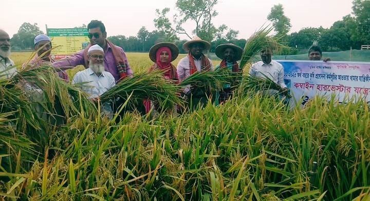 গোমস্তাপুরে আধুনিক যন্ত্রের সাহায্যে সমলয় পদ্ধতিতে ধান কর্তন