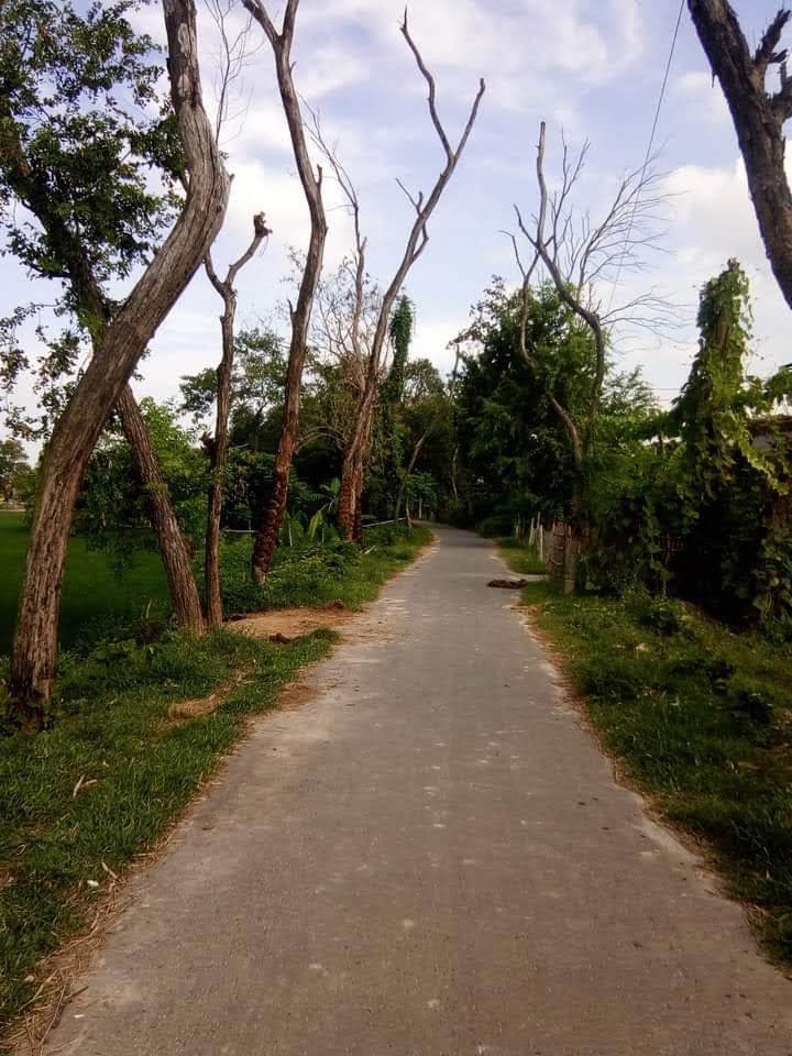 চাঁপাইনবাবগঞ্জের বিভিন্ন সড়ক ও রেল লাইনের দু’পাশের মরা গাছগুলো এখন মরণ ফাঁদ