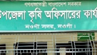 নওগাঁয় ৩৫ হাজার আমন চাষীদের আড়াই কোটি টাকার প্রণোদনা বিতরণ